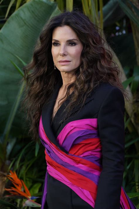 pictures of sandra|28,428 Images Of Sandra Bullock .